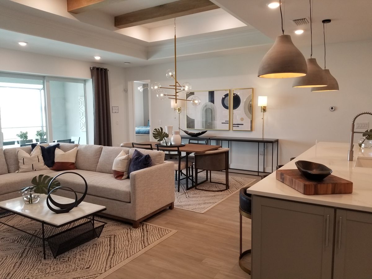 Warm, well-presented open-plan living and dining space in a rental home